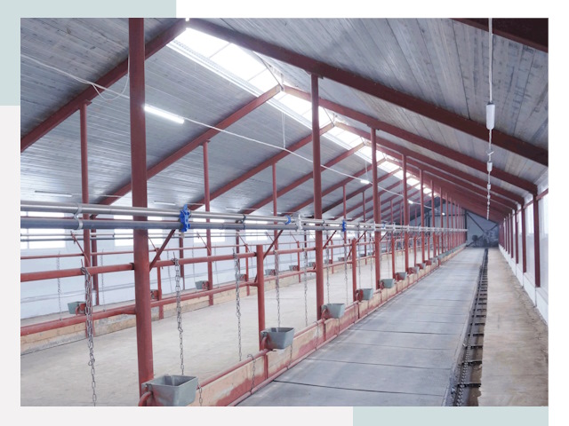 Строительство коровников в Россоши от 622 руб.