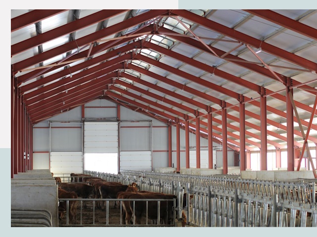 Строительство коровников в Россоши