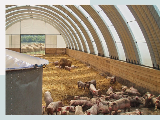 Строительство свинарников в Россоши