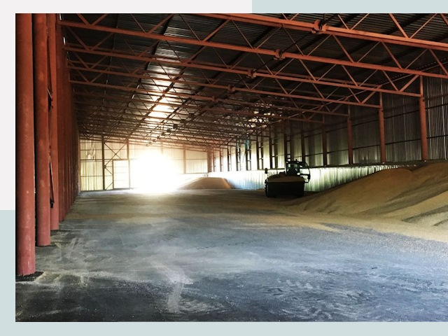 Строительство зернохранилищ в Россоши