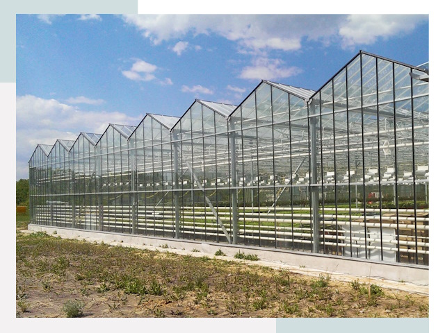 Строительство теплиц в Россошь от 622 руб. за м²