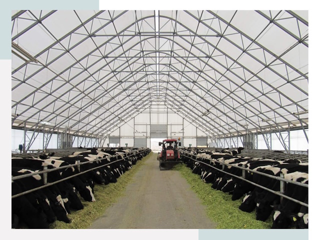 Тентовые коровники в Россоши от 622 руб. - Надежно и доступно