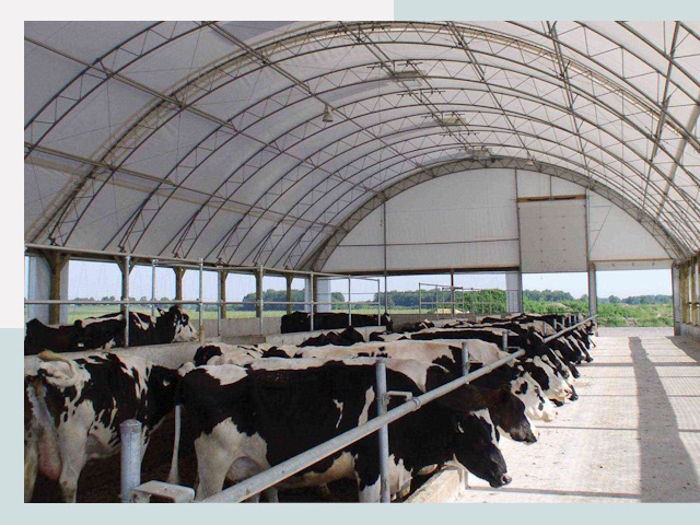 Тентовые коровники в Россоши